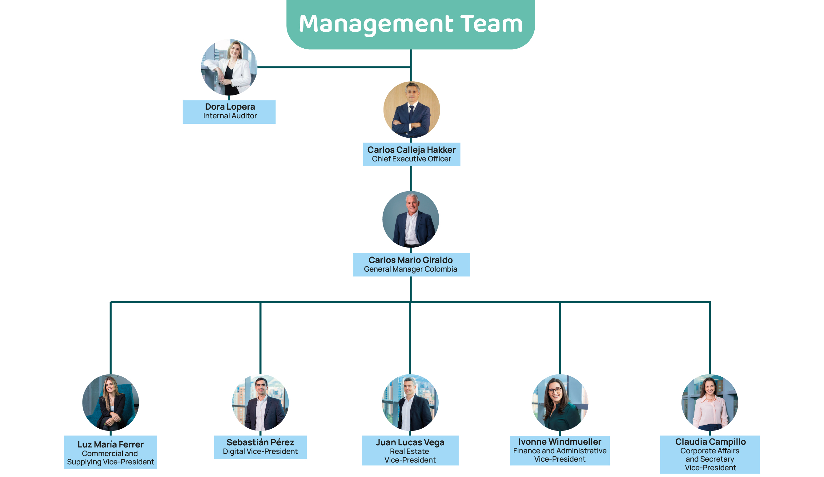 management team